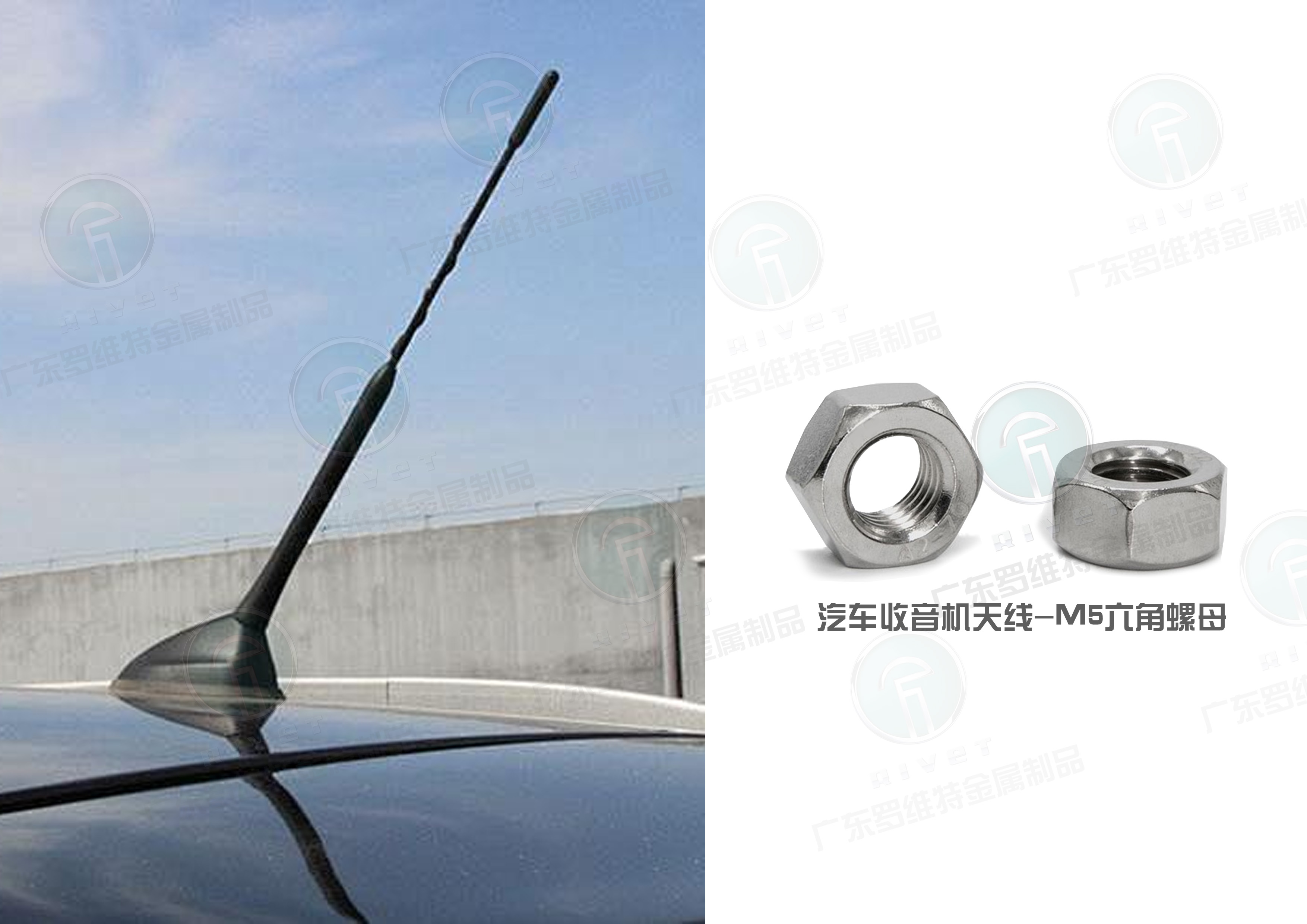 2.汽车收音天线-M5六角螺母.jpg